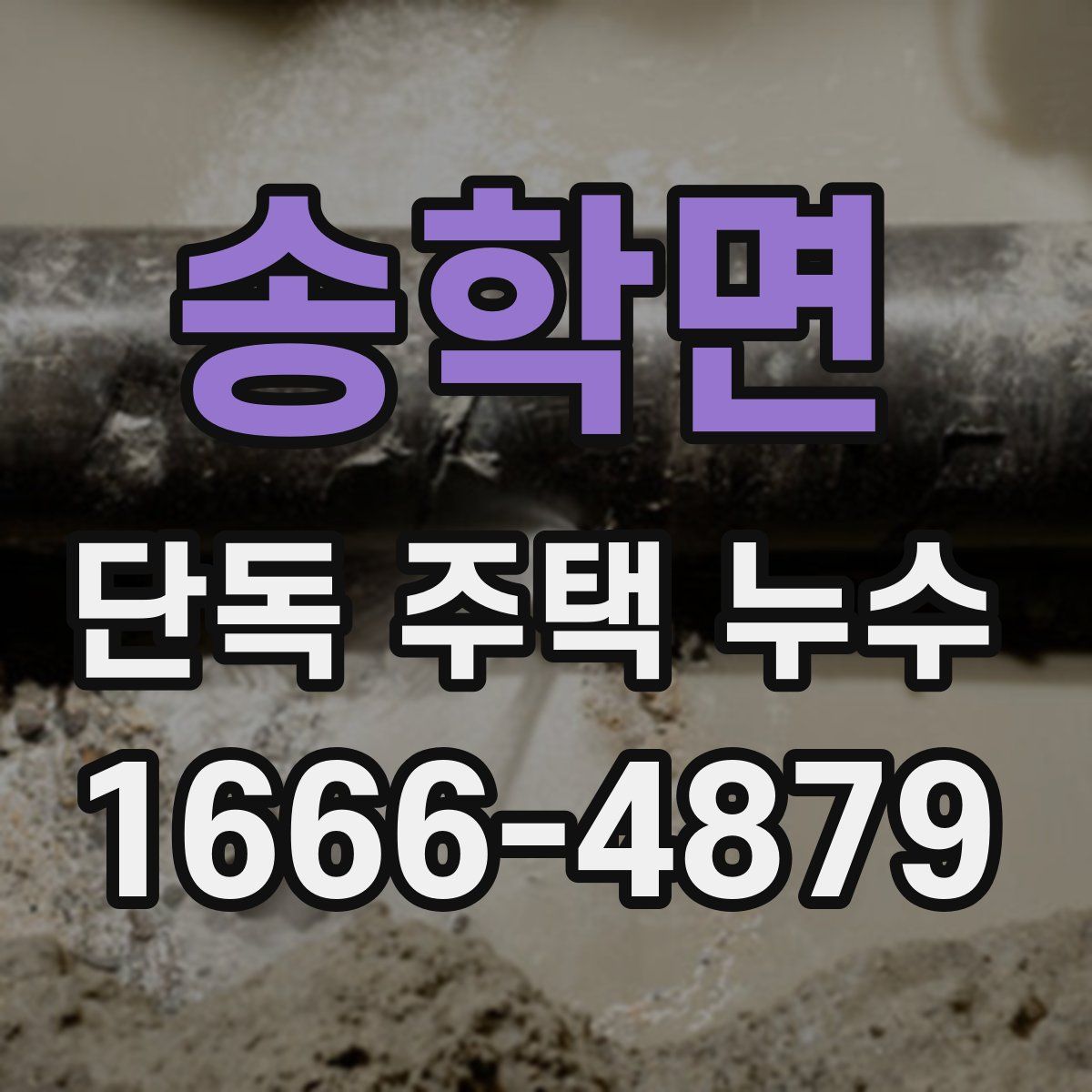 송학면 단독 주택 누수