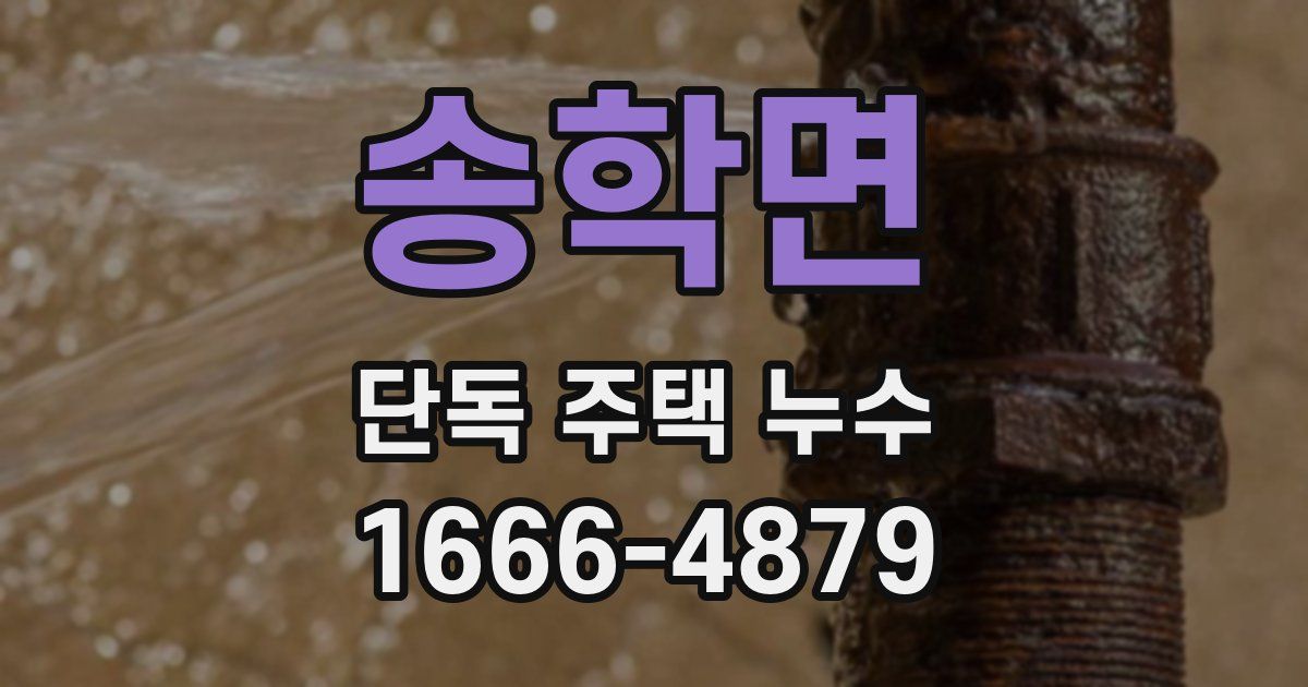 송학면 단독 주택 누수