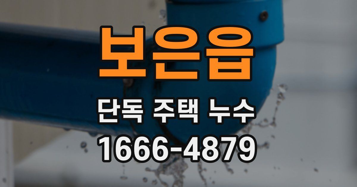 보은읍 단독 주택 누수