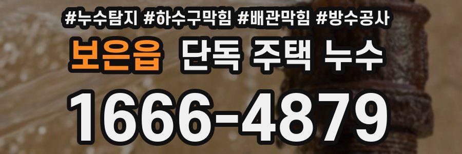 보은읍 단독 주택 누수