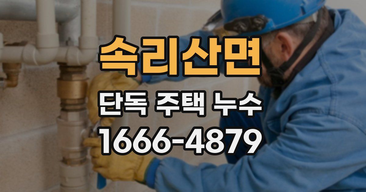 속리산면 단독 주택 누수