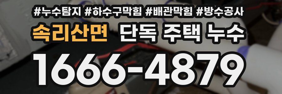 속리산면 단독 주택 누수