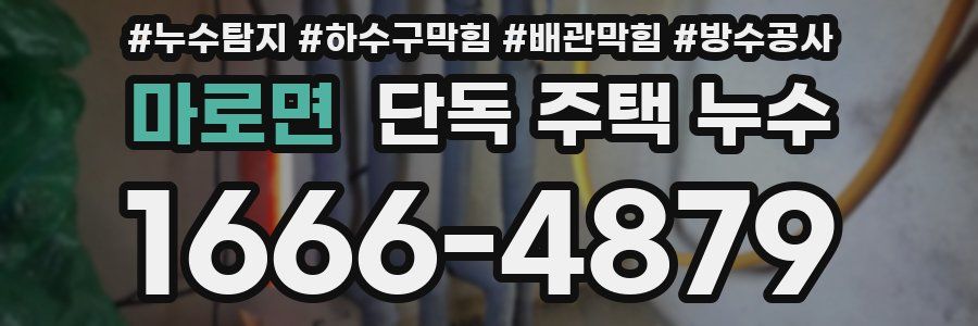 마로면 단독 주택 누수
