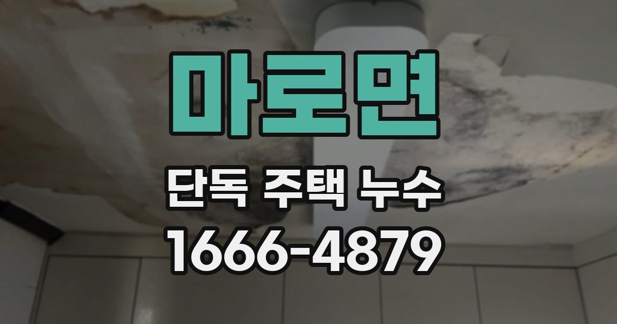 마로면 단독 주택 누수