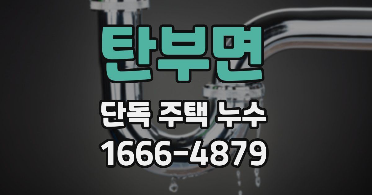 탄부면 단독 주택 누수
