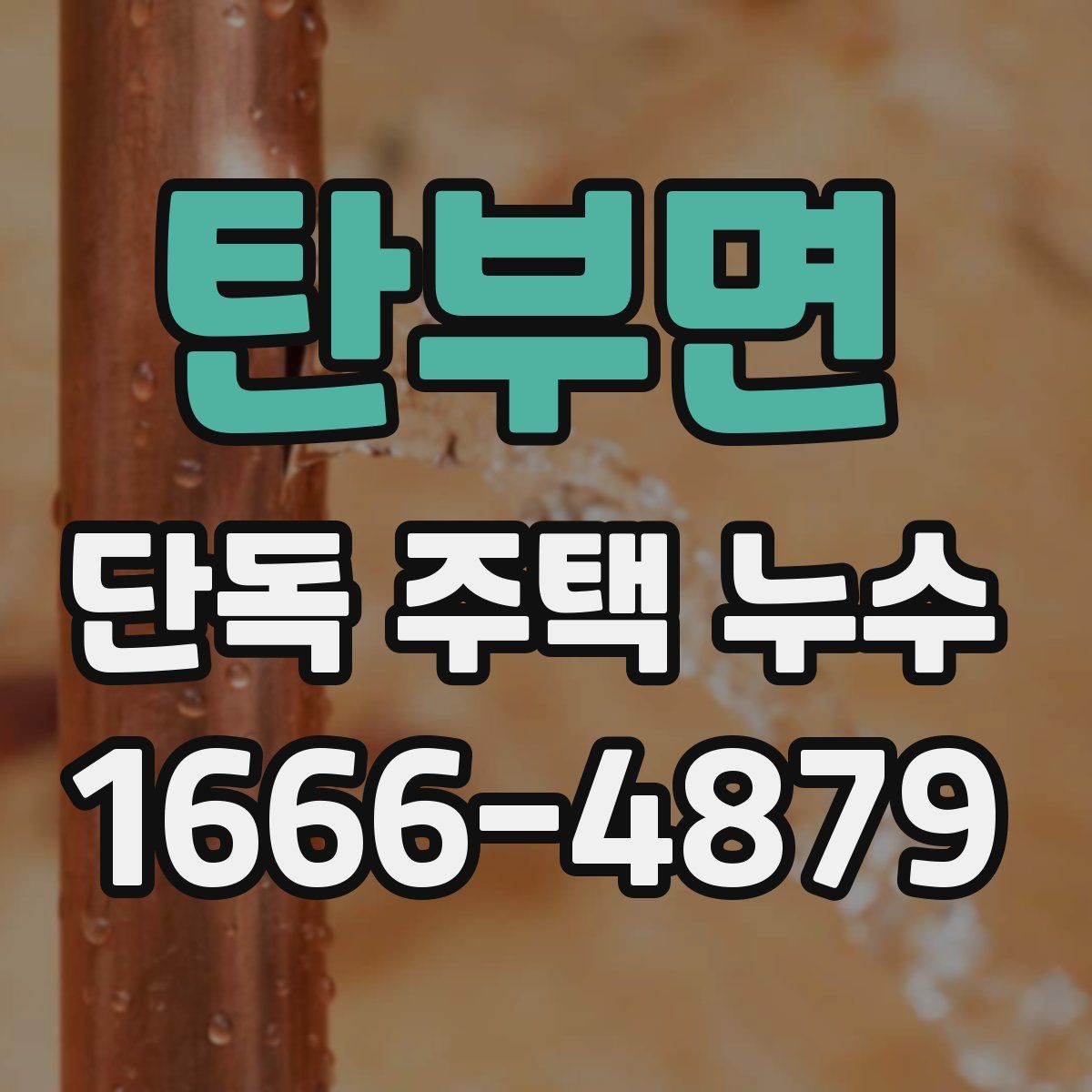 탄부면 단독 주택 누수
