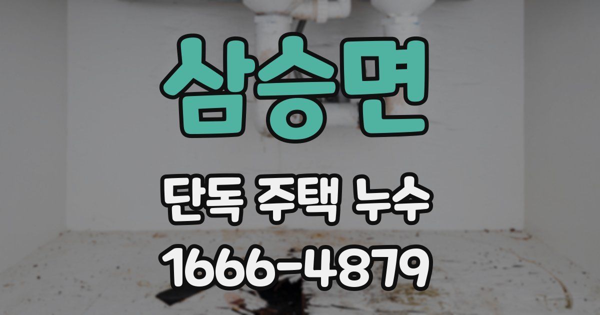 삼승면 단독 주택 누수
