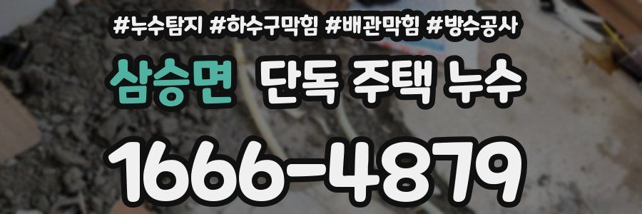 삼승면 단독 주택 누수