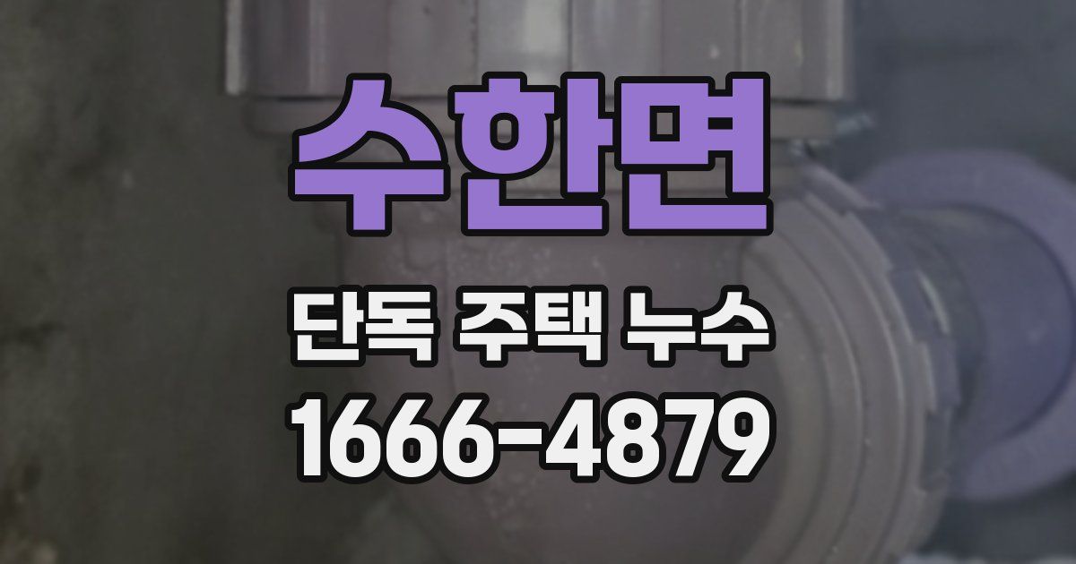 수한면 단독 주택 누수