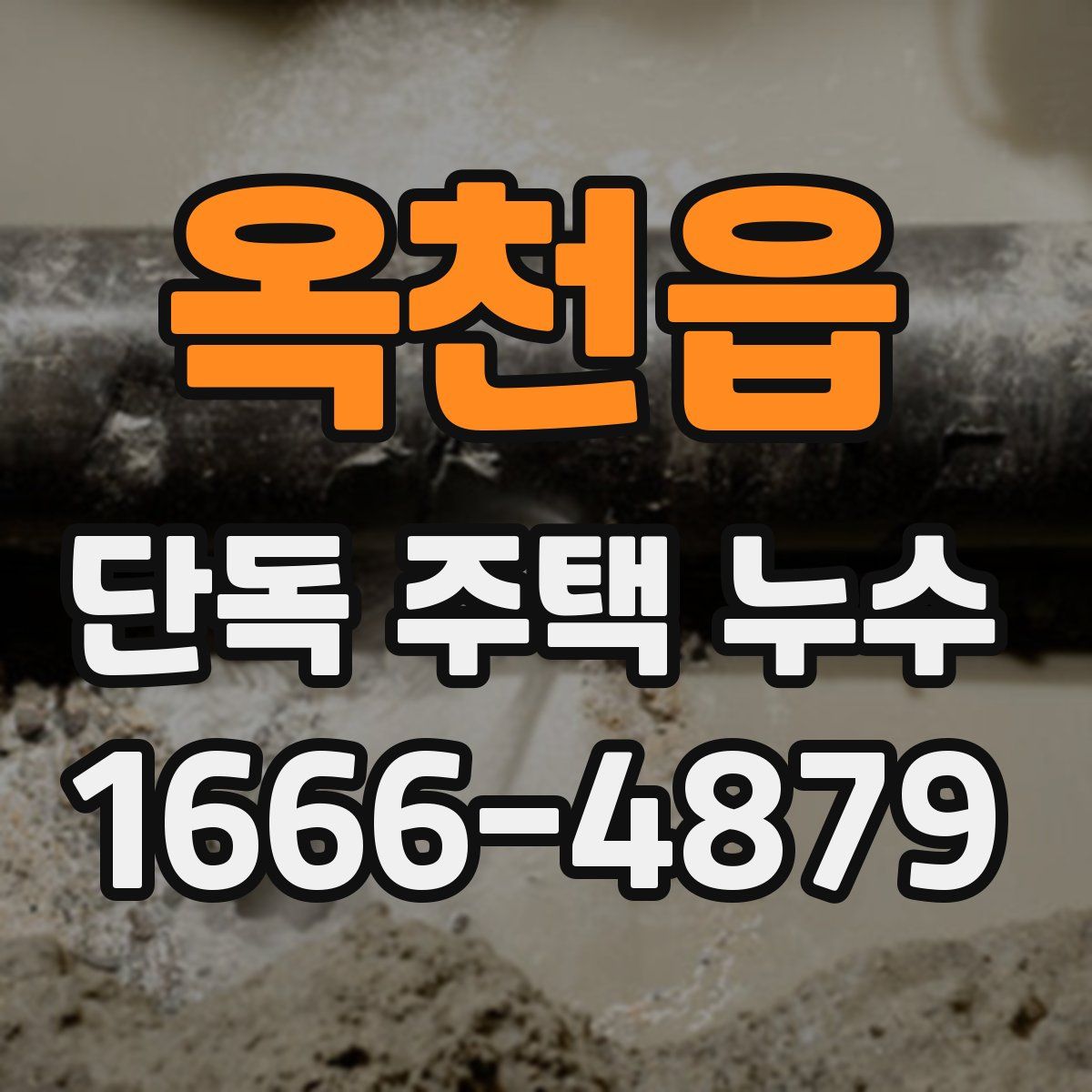 옥천읍 단독 주택 누수