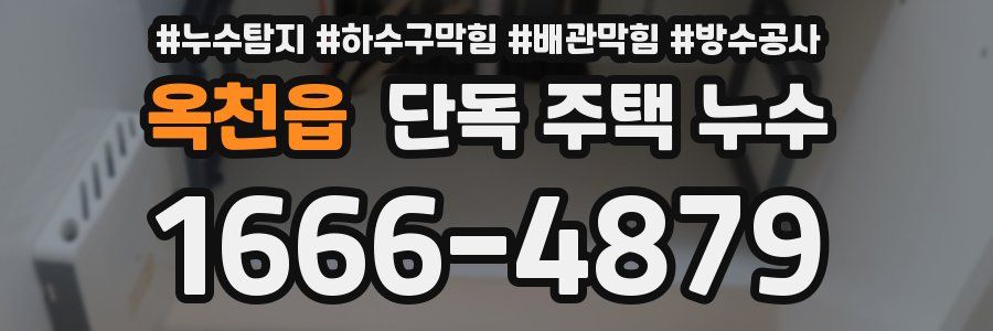 옥천읍 단독 주택 누수