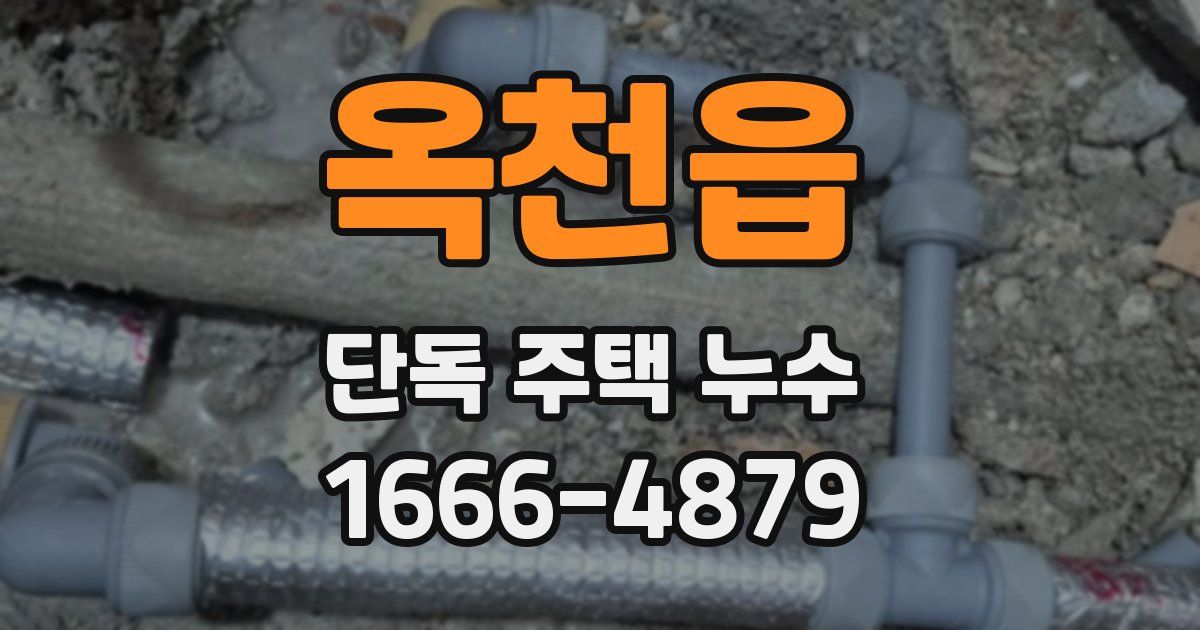 옥천읍 단독 주택 누수