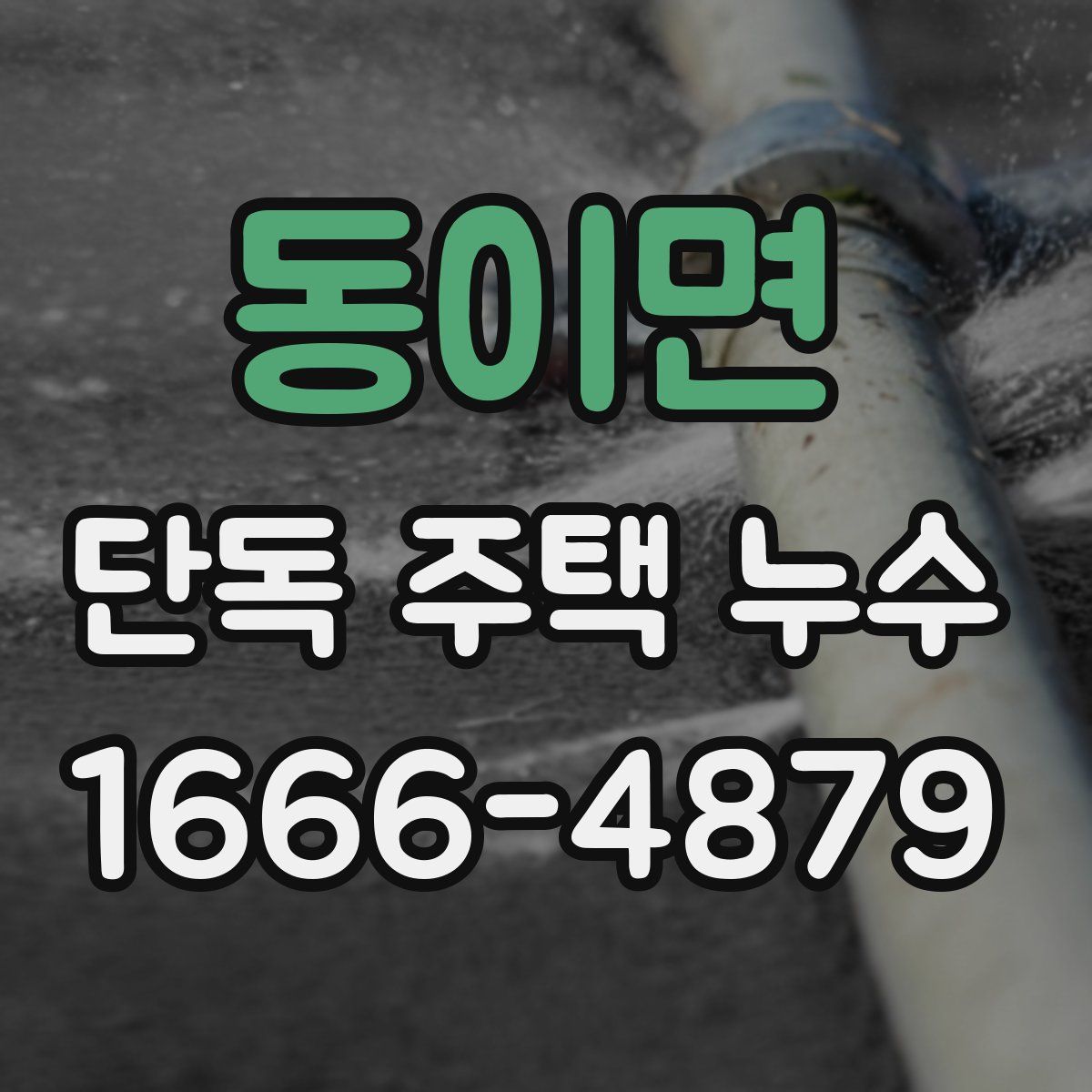 동이면 단독 주택 누수