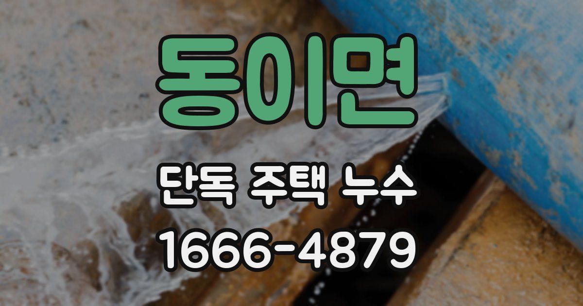 동이면 단독 주택 누수