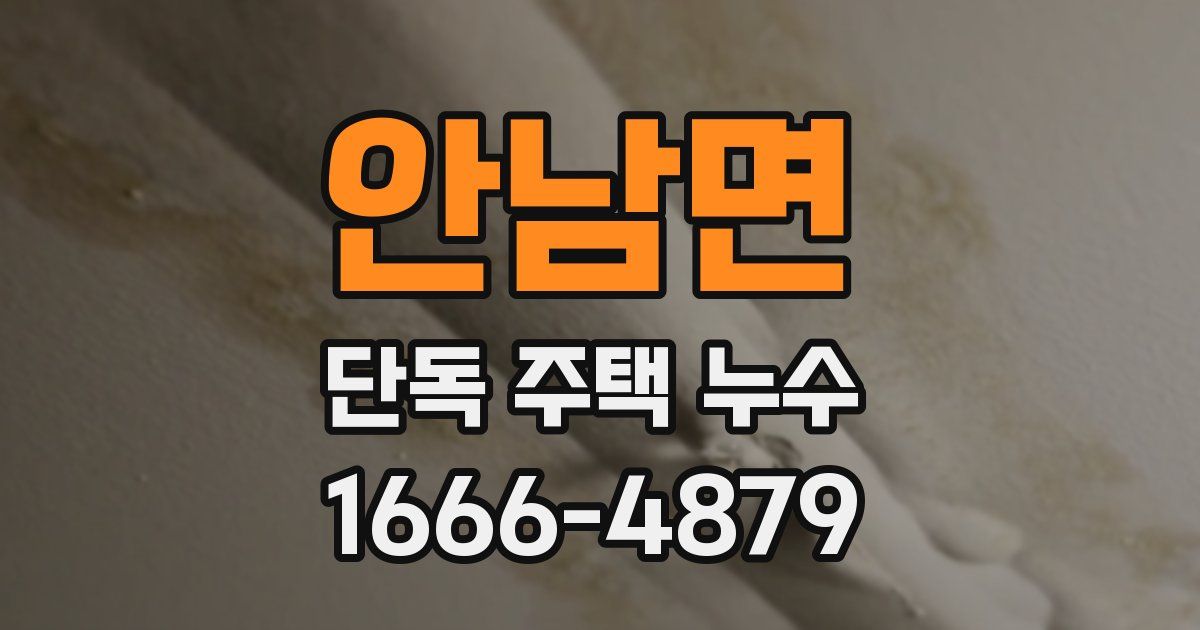 안남면 단독 주택 누수