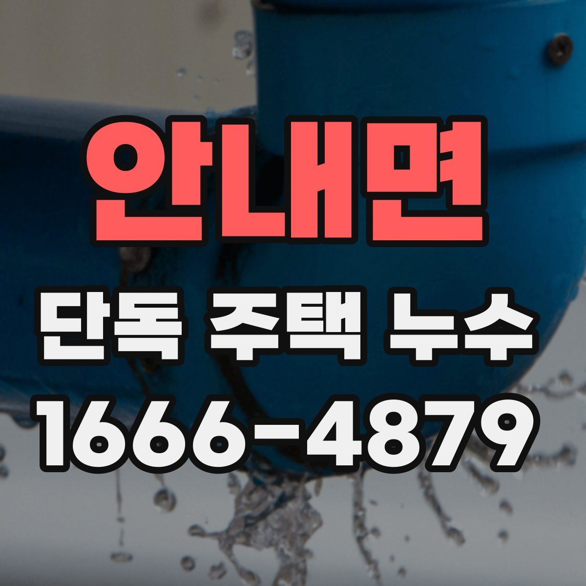 안내면 단독 주택 누수