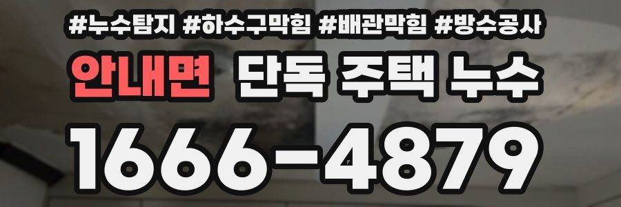 안내면 단독 주택 누수