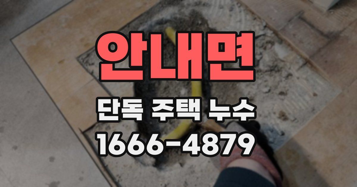 안내면 단독 주택 누수
