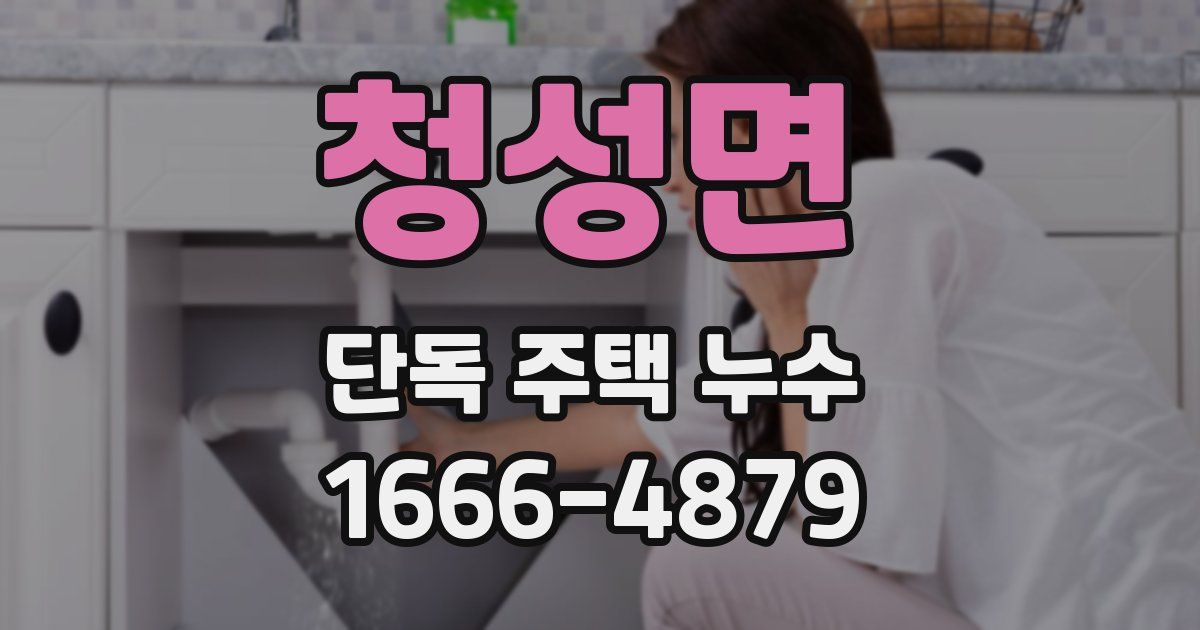 청성면 단독 주택 누수