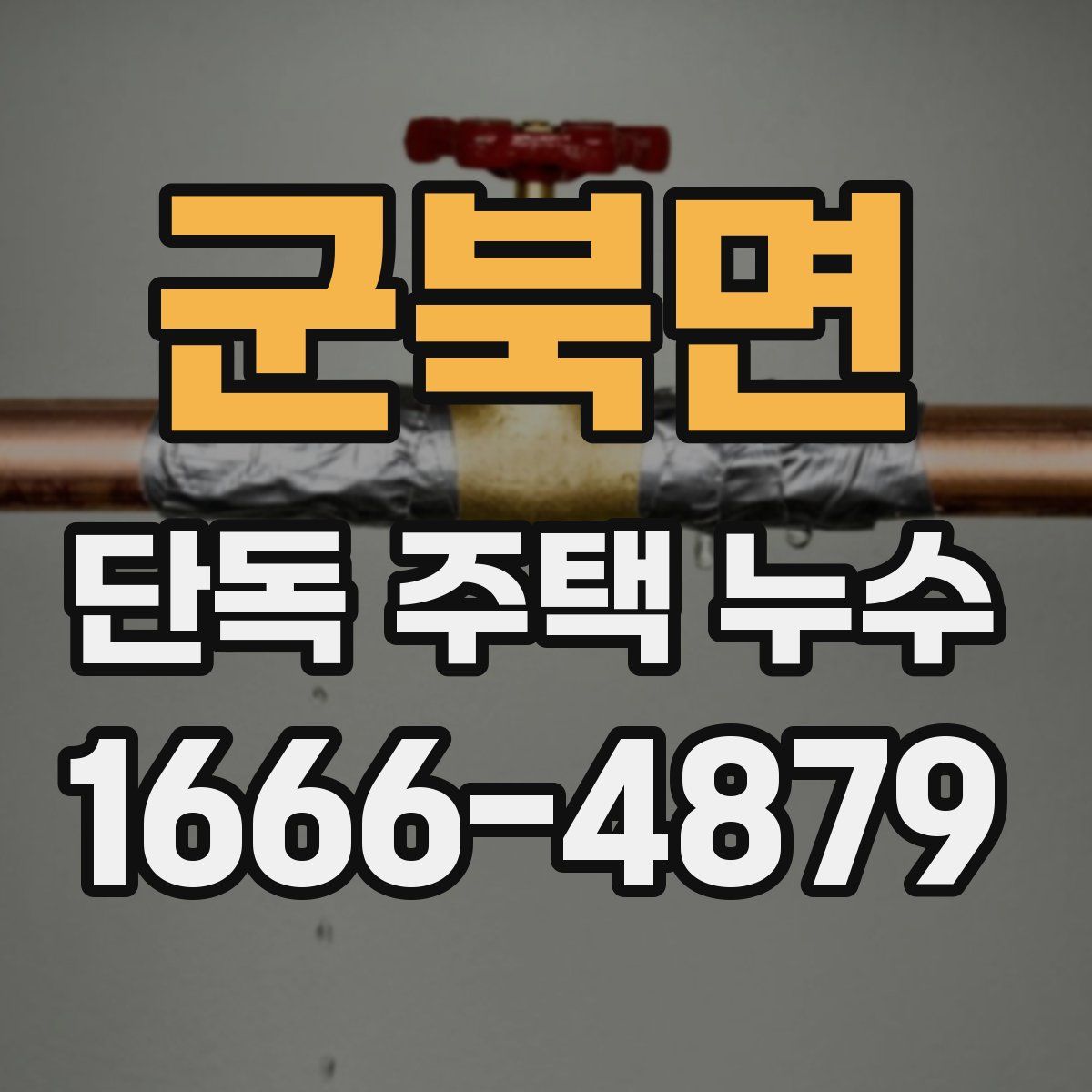 군북면 단독 주택 누수