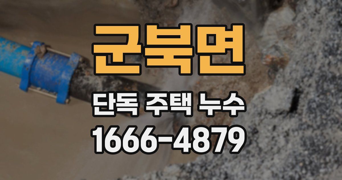 군북면 단독 주택 누수