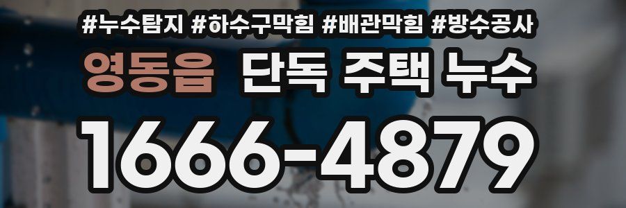 영동읍 단독 주택 누수