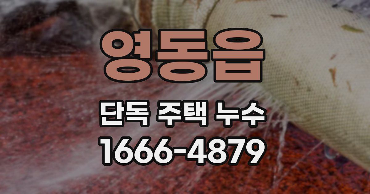 영동읍 단독 주택 누수