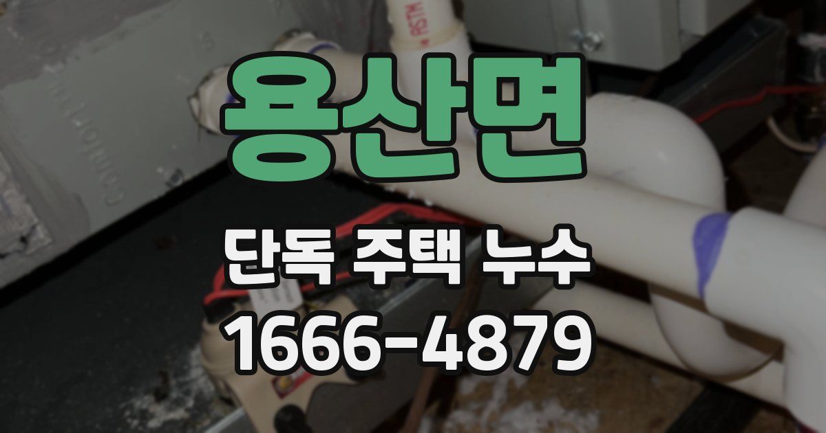 용산면 단독 주택 누수