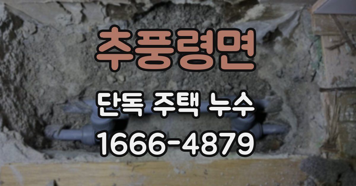 추풍령면 단독 주택 누수