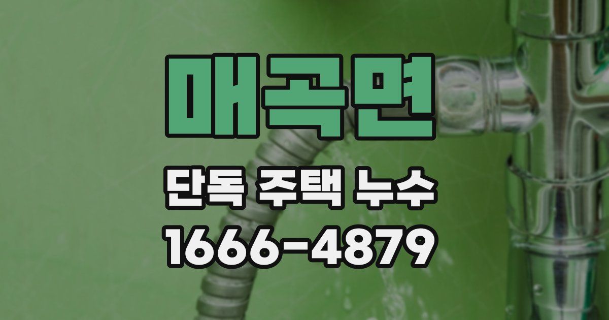 매곡면 단독 주택 누수
