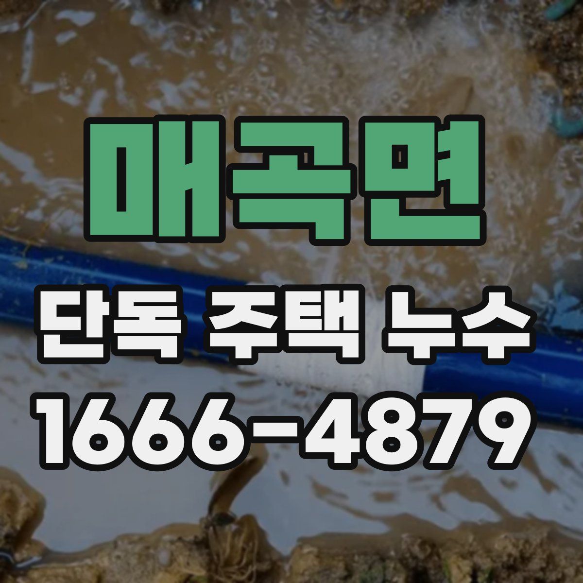 매곡면 단독 주택 누수