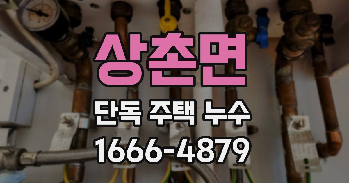 상촌면 단독 주택 누수