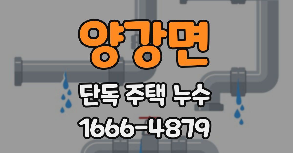 양강면 단독 주택 누수