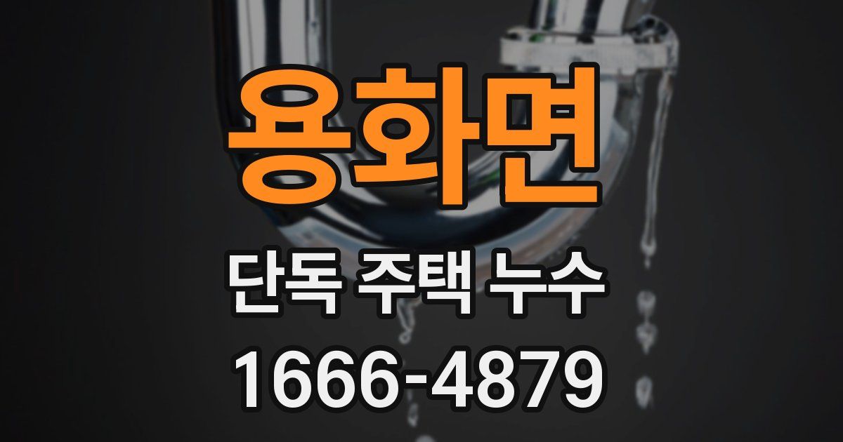 용화면 단독 주택 누수