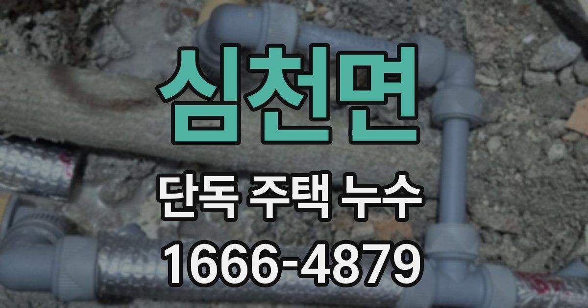 심천면 단독 주택 누수