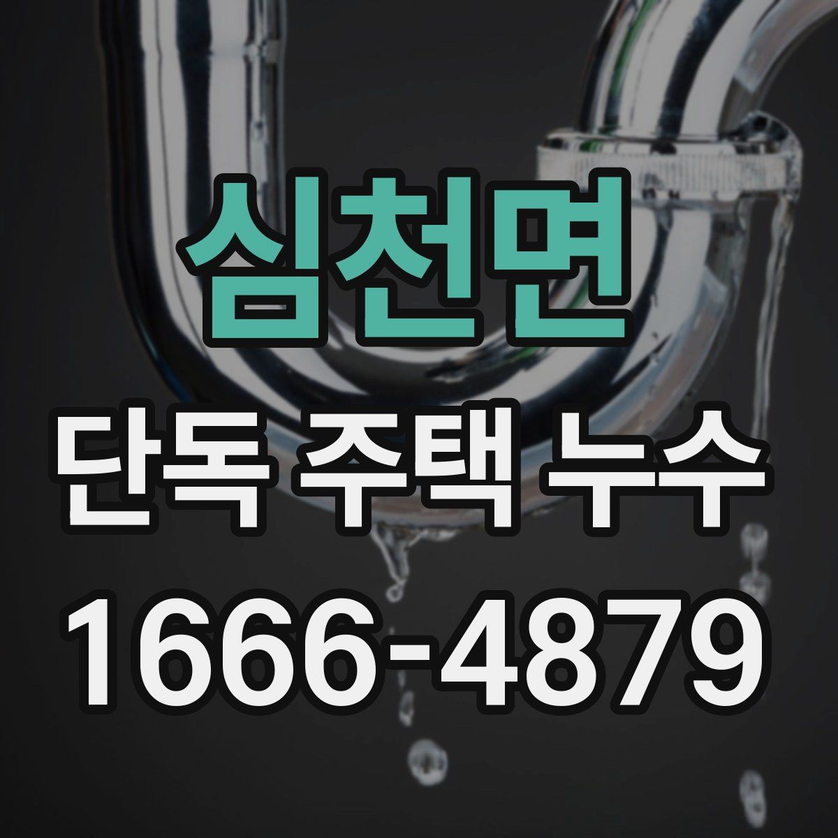 심천면 단독 주택 누수