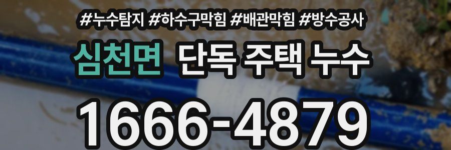 심천면 단독 주택 누수