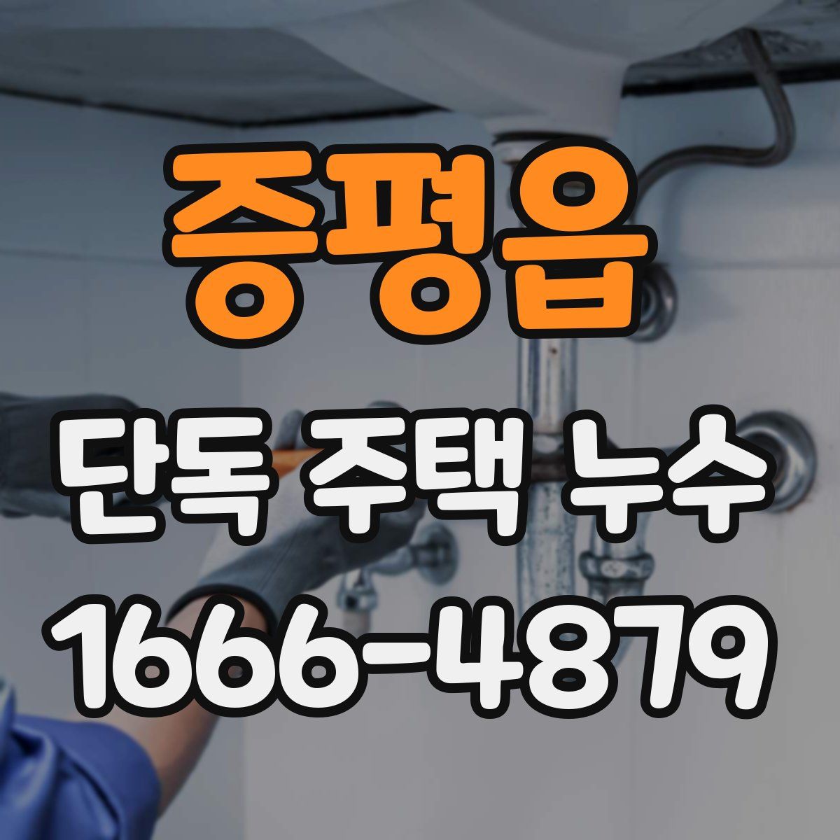 증평읍 단독 주택 누수