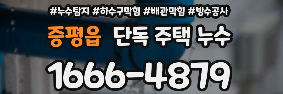 증평읍 단독 주택 누수