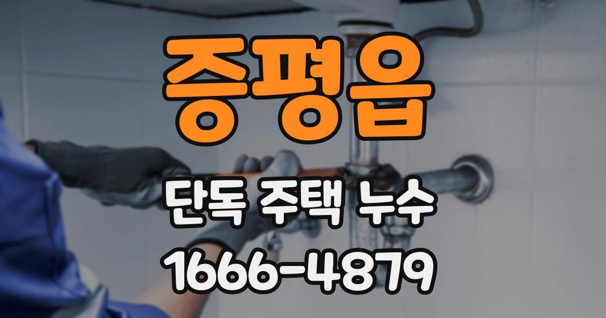 증평읍 단독 주택 누수
