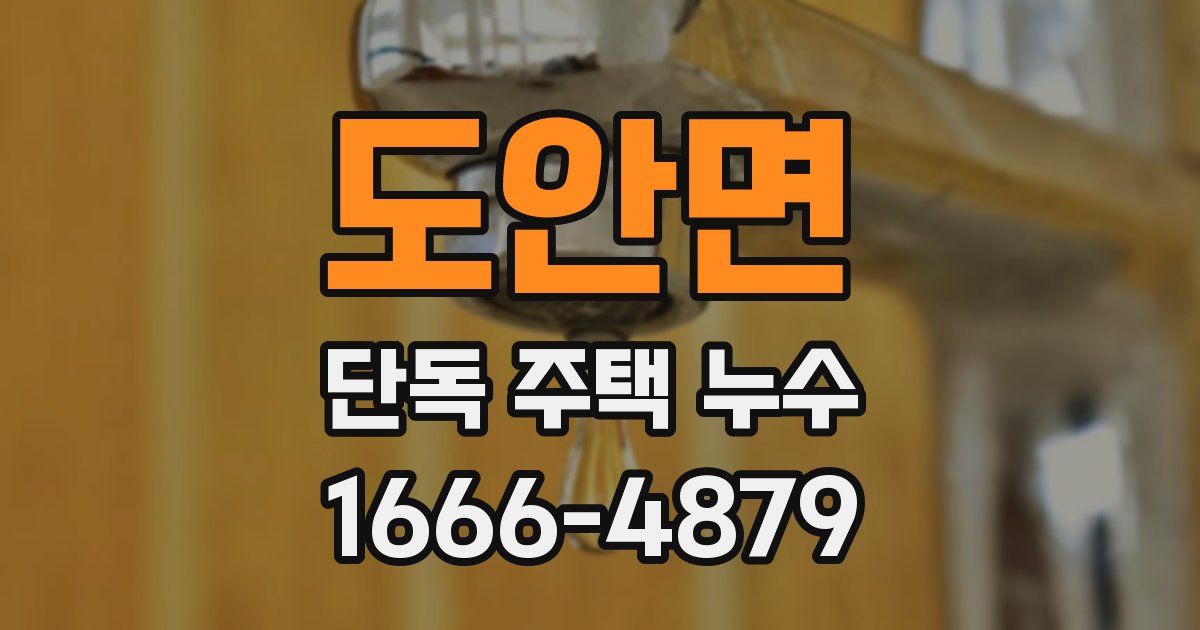 도안면 단독 주택 누수