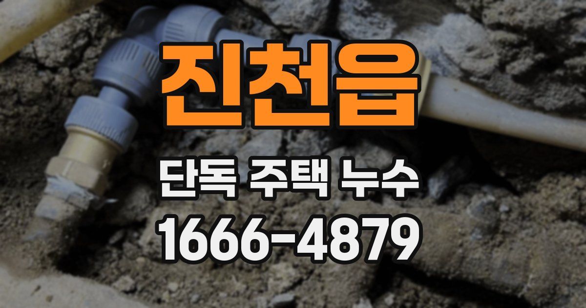 진천읍 단독 주택 누수