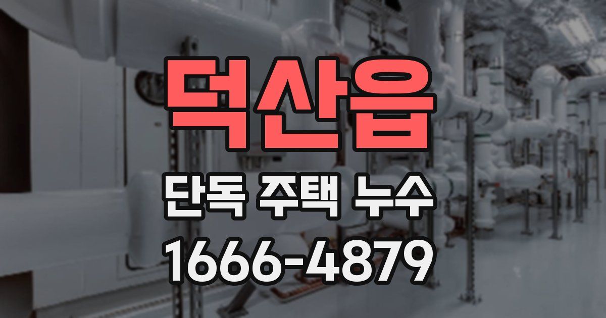 덕산읍 단독 주택 누수