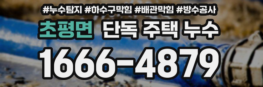 초평면 단독 주택 누수