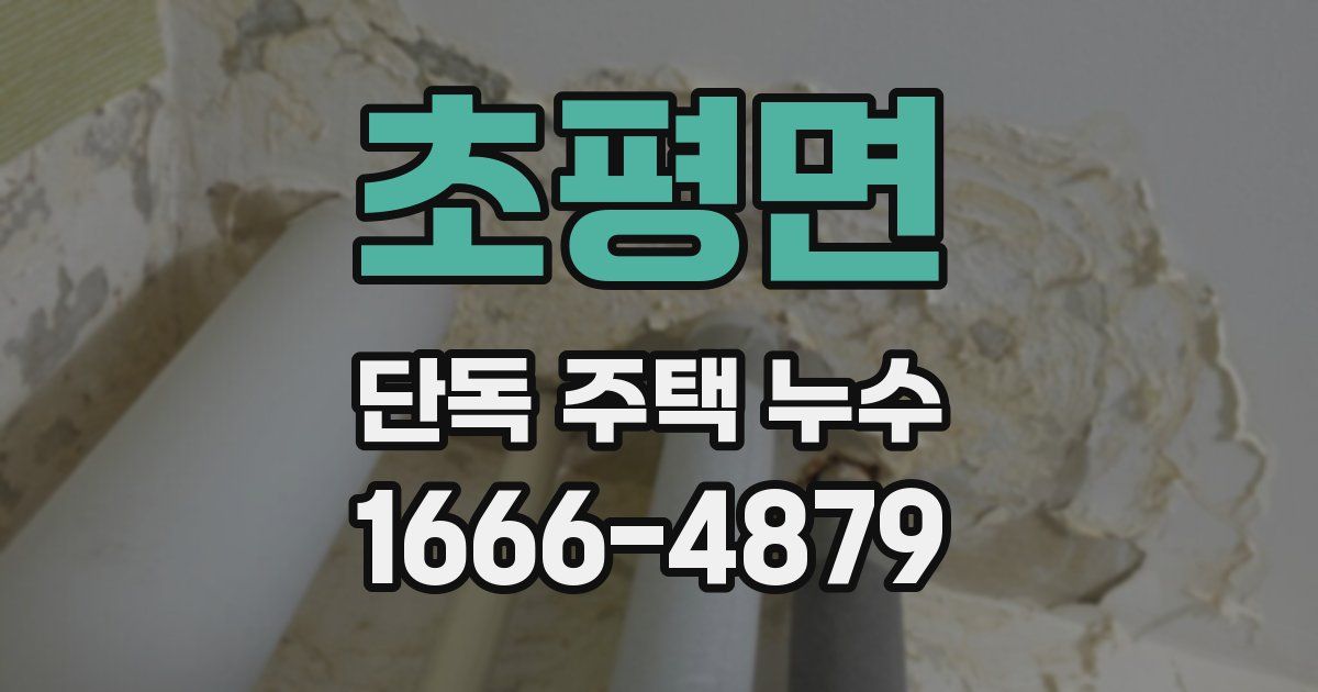 초평면 단독 주택 누수