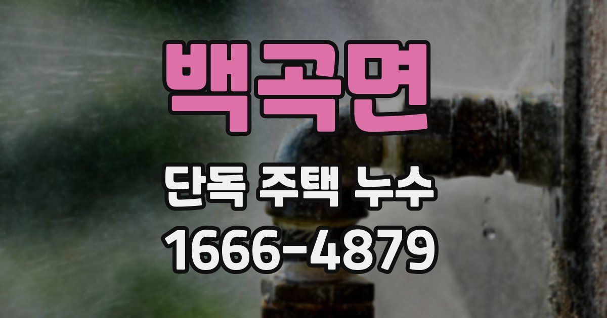백곡면 단독 주택 누수