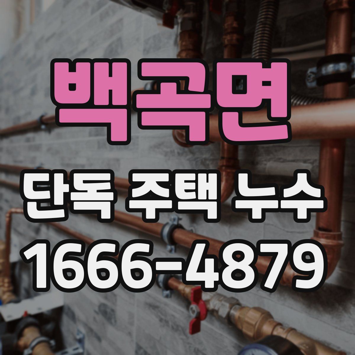 백곡면 단독 주택 누수