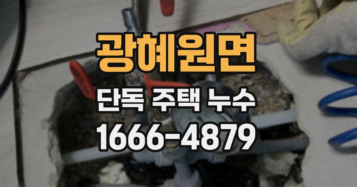 광혜원면 단독 주택 누수