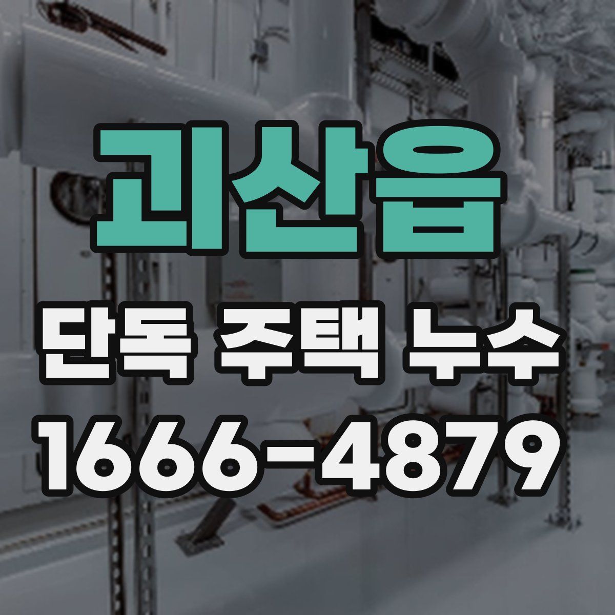 괴산읍 단독 주택 누수