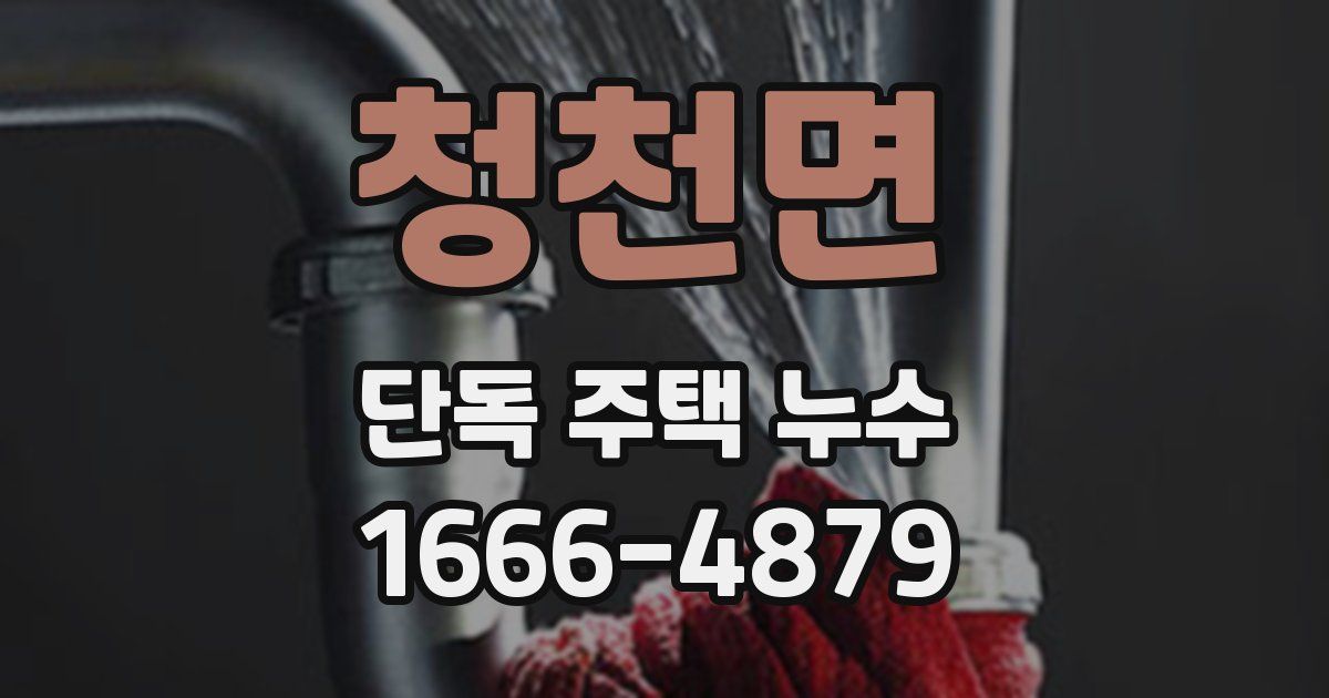 청천면 단독 주택 누수